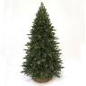 Ель TRIUMPH TREE, Шервуд премиум, 100% литая, 155 см, 120 ламп, зеленая 72178