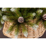 Новогодняя елка TRIUMPH TREE, Женева, 215 см, c шишками, заснеженная 73121
