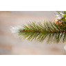 Триумф ель TRIUMPH TREE, Женева с шишками, 200 см, заснеженная 72103